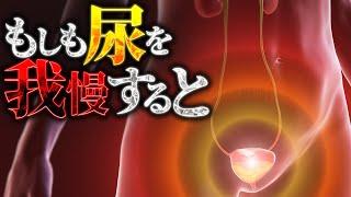 【衝撃】尿を我慢し続けると人体には何が起こるのか？