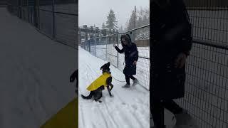 funny snow day️️