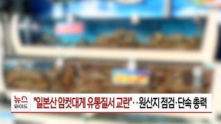 "일본산 암컷대게 유통질서 교란"..원산지 점검·단속 총력 | HCN 경북방송