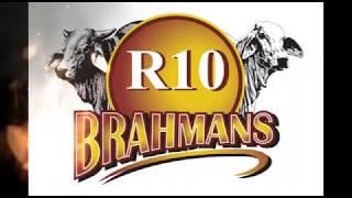 R10 Production Brahman Auction