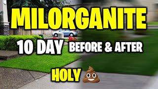 Milorganite - Before and After day 1 through day 10 - deeper green lawn? You have to see the results