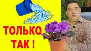 Вот как надо поливать цветы. [ЧТО, РАЗВЕ НЕ ЗНАЛИ?!]