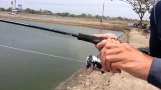 Fishing Video !! Thailand Fishing Adventure- Bkk Fishing Tour- BKKGUY