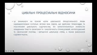 Цивільні процесуальні правовідносини. лектор д.ю.н., доцент Цувіна Тетяна