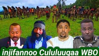 27/09/2024 injifannoo Cululuuqaa WBO Aanaa Tokkee Mindaaqaanyi Lixa Wallaggaa humnoota rephee lolaa