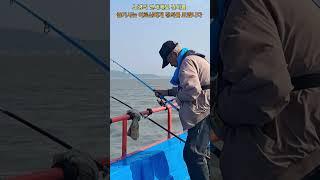 낚시를 즐기시는88세 어르신께 존경을 표합니다!