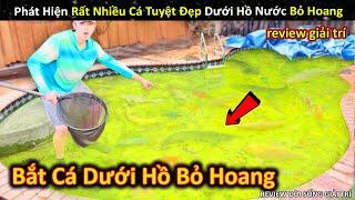 Phát Hiện Và Giải Cứu Đủ Loại Cá Tuyệt Đẹp Dưới Hồ Nước Bỏ Hoang || Review Giải Trí Đời Sống