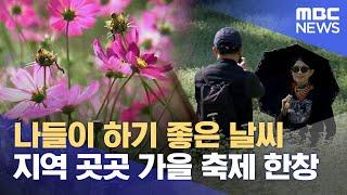 가을꽃 만개.. 풍성한 가을 축제 (2024.10.11/뉴스데스크/MBC충북)