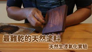 最難乾的天然塗料-天然生漆氧化實驗 Lacquer oxidation experiment