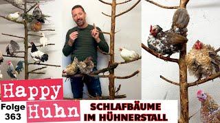 Hühnerstall einrichten: Geniale Schlafbäume für Hühner HAPPY HUHN E 364 - Zwerghühner beschäftigen