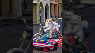 Cute cats and kittens steals my kinderjoy !!!! ##catvideos #cutecats #catlover #trendingshorts