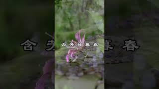 中文古典诗词：《见紫荆花》[唐] 韦应物