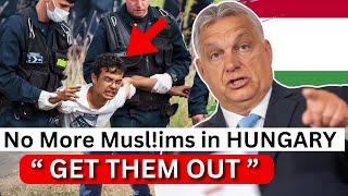 Shocking the World! - How Hungary Fixed the Immigration Crisis