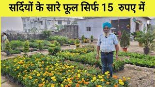 Only 15 Rupees Winter Plants Nursery || Shriguru Ramdas Nursery