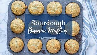 Sourdough Banana Muffins Recipe- Long Fermented Or Quick Mix And Bake