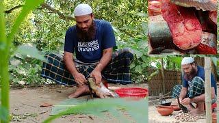 RIVER PANGAS | Bangladeshi Village Food | নদীর পাঙ্গাসের স্বাদের কাছে বোয়াল মাছও ফেইল!