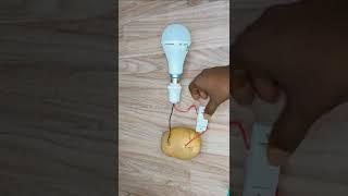 Free Energy light Bulb using Potato #shortsvideo #shorts  #freeenergy #potatoenergy #freeelectricity