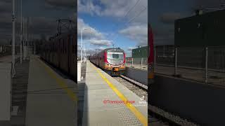 PolRegio EN57 (Refurb) departing Kielce Główne #shorts #short #youtubeshorts #transport #train