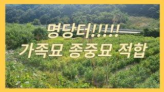 # 169  (계약완료)명당터 가족묘 문중묘지 !!!!