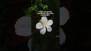 29 July 2024