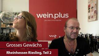 Grosses Gewächs | Nachproben 2024 | Rheinhessen Riesling, Teil 2