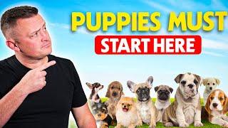 First 3 Things To Teach Your Puppy