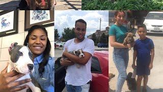 Pitbull Kennels 2018: Vlog #1 Join the  ULTRA CLASS FAMILY family XL Pitbull.