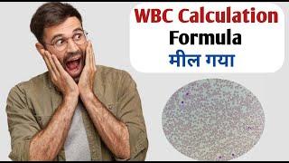 wbc count under microscope I wbc count formula slide method