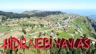 HIDIRNEBİ YAYLASI / AKÇAABAT / TRABZON / TURKEY / DRONE