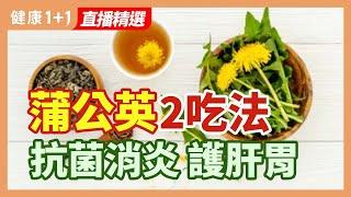 蒲公英2吃法 抗菌消炎 護肝胃 | 健康1+1 · 直播精選