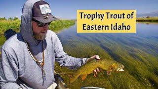 Trophy Trout of Eastern Idaho