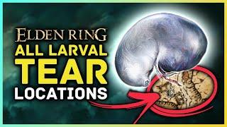 Elden Ring - All Larval Tear Locations for Respeccing Your Attributes