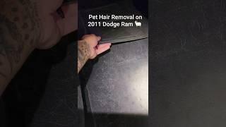 Removing Pet Hair From Floor-Mat #beforeandafter #pethairremoval #satisfying #mobiledetailing