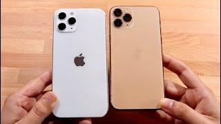 iPhone 12 Pro Vs iPhone 11 Pro! (Size Comparison)