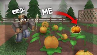 I CAMOUFLAGED MYSELF as a PUMPKIN in HALLOWEEN MM2 (Murder Mystery 2)