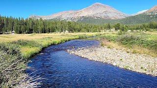 Very picturesque Tuolumne Meadows in the High Sierras of Yosemite National Park