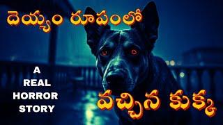 దెయ్యం రూపంలో వచ్చిన కుక్క Ghost stories in telugu horror stories deyyam kathalu deyyam bommalu