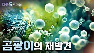 [다큐S프라임] 지구에 없어서는 안 될 곰팡이 / YTN 사이언스