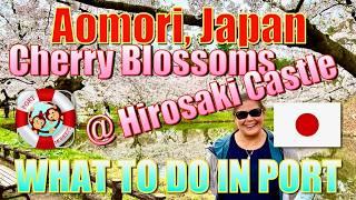 Aomori, Japan - Cherry Blossoms at Hirosaki Castle Tour - What to Do in Port  弘前城の桜ツアー