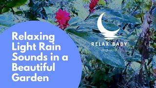 Light Rain Sounds for Sleeping - Raining on a Beautiful Garden Sleep Sounds