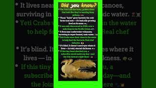 This Crab Grows Food on Its Arms 