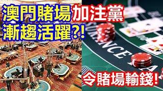 澳門賭場加注黨漸趨活躍 ?! 令賭場輸錢 !