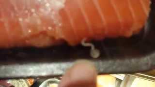 Live worms on salmon at Byerly's