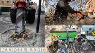 ABBATTIMENTO BAGOLARI, CIPPATURA E FRESATURA CEPPI CON TUBO / HACKBERRY REMOVAL, CHIPPING