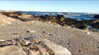 ASMR tidepool and beach exploration