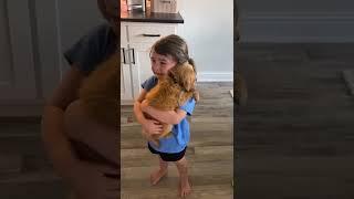 Little girl sobs as she holds her new puppy | Humankind #Shorts