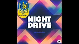 0127 DJ NeCrowMan Night Drive (Ruslan Yupyn, Ukraine)