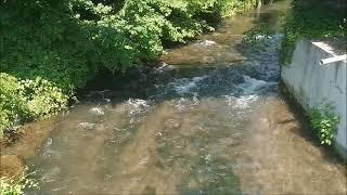 Die Blau mündet in der Donau #Blau #Donau #Kobelgraben #Ulm #blaubeuren #river #fluss #rainerwandert