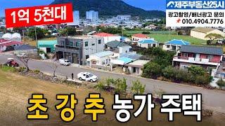 [매물번호0441]  초강추 1억 5천대 제주도 농가주택  #제주도부동산