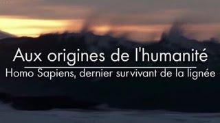 Aux origines de l'humanité - Homo Sapiens, dernier survivant de la lignée [3/3]